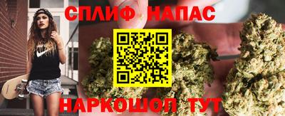 мяу мяу кристалл Малоярославец