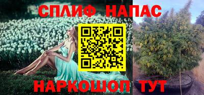 мяу мяу кристалл Малоярославец